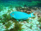 Pousada em Fernando de Noronha